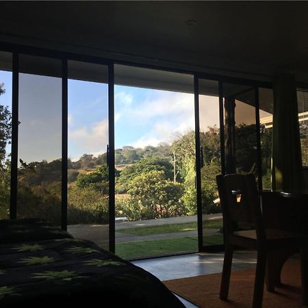Paris Confort B&B Monteverde Екстериор снимка